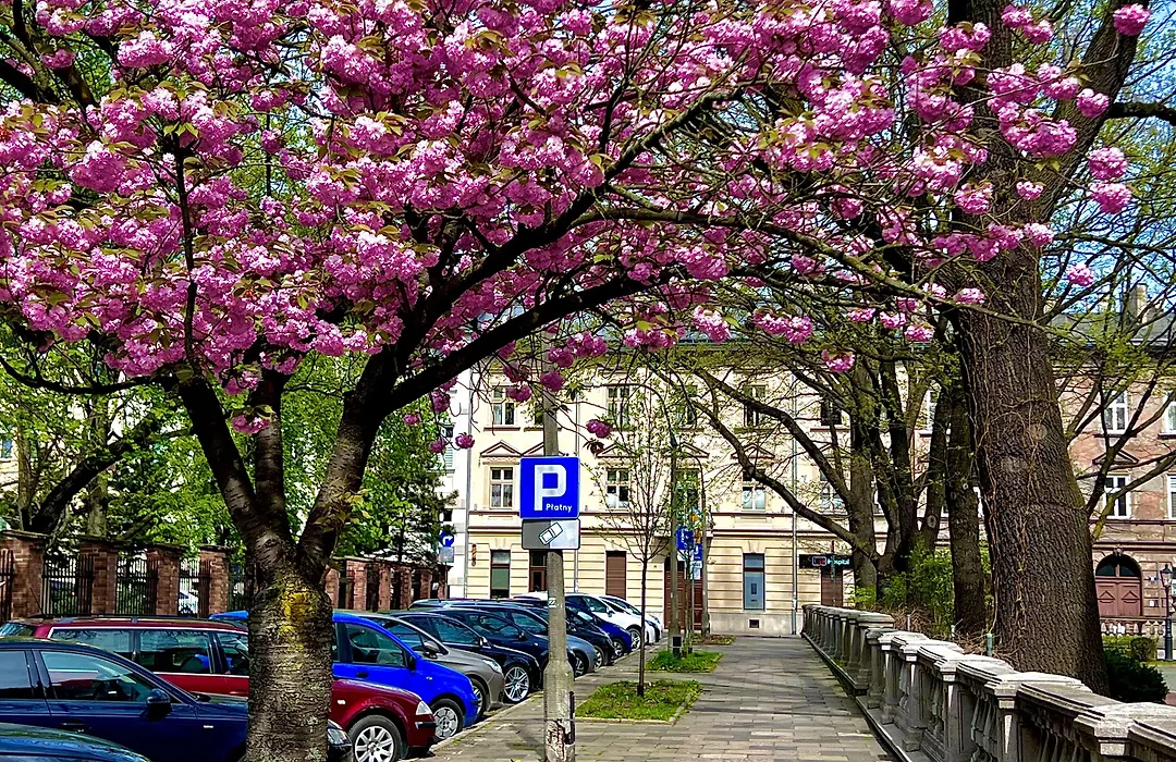 Krakow Central Apartments-1
